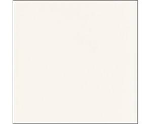 BRIGHT WHITE 20x20 SNOW 