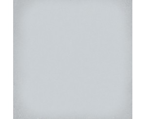 1900 GREY 20x20