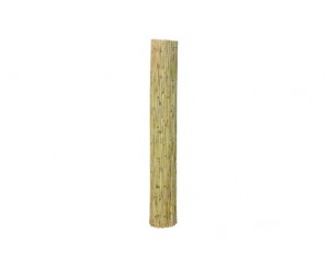 CAÑIZO 1.50m. ROLL 5mts 