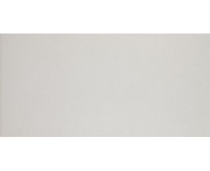PROJECT ASH 30x59