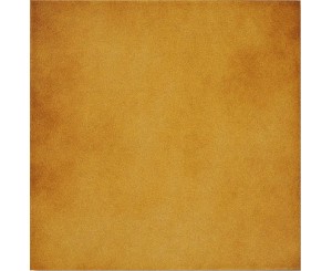 BRONZE 31.6x31.6
