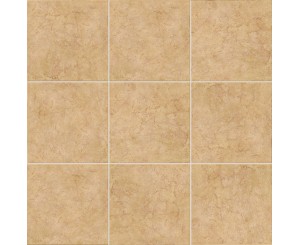 LITOS MARRON 20x20