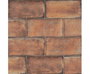 ESENZIA TERRA 15x30