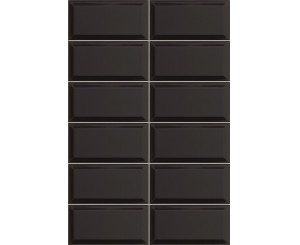 BISSEL BLACK 10x20