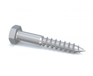 TORNILLO ROSCA LIMA 10-070