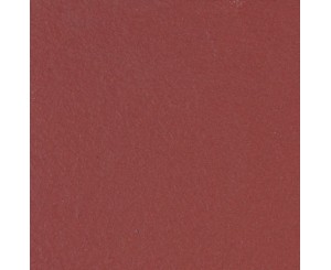 ARAGON BASE COTTO RED 24.4x24.4