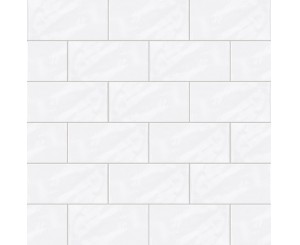 VITTA-10 WHITE 10x20