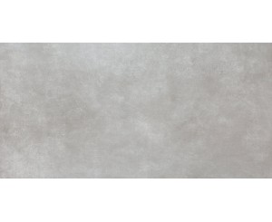 CHIC GRAY HOUSE 31x98