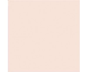 SALMON MATE 20x20