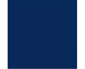 BLUE NIGHT 20x20