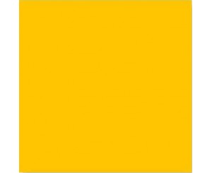 LEMON 20x20