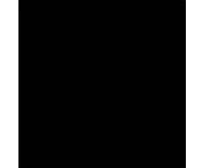 BLACK 20x20