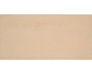 CONCEPT BEIGE RUSTICO 30x60
