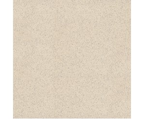 RIOS SEGRE POLISHED 60x60