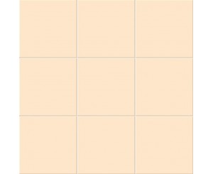 NACAR MATE 20x20