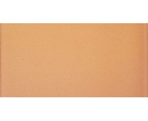 ARAGON NATURAL BASE 12x25