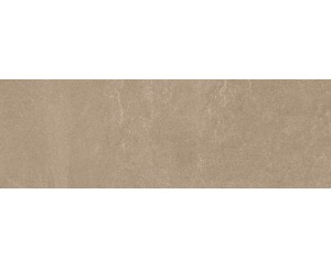 9526 ARENA RECT. 30x90