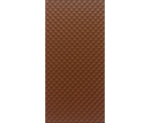 ARAGON ACIKER PLUS RED CELLS 12x25x8.5