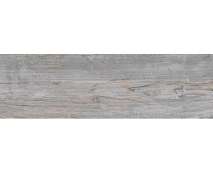 TRIBECA GRIS 20.2x66.2