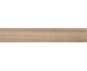 EUKALYPT HONEY 20x120