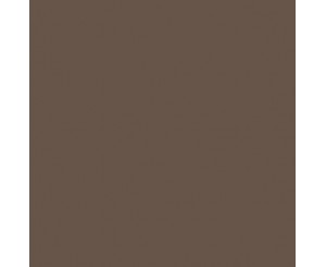 29-COFFEE BROWN SMOOTH 9.6x9.6x0.8  