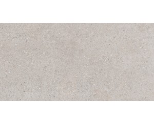 SASSI ARENA 32x62.5  