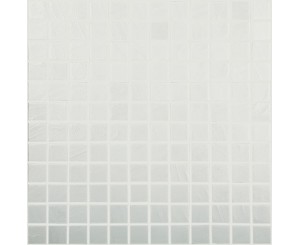 VIDREPUR GRESITE 950 ARTS ANTARTICA 25x25  