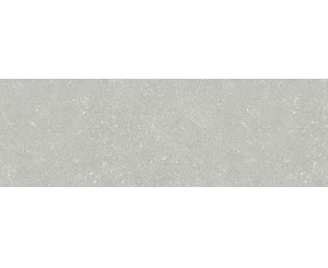 9530 SILVER RECT. 30x90  