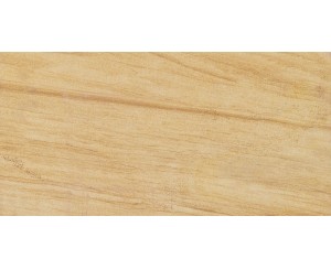 STONE TEKA WOOD POLISHED 30x60  