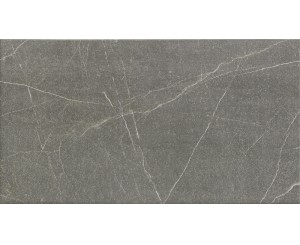 GRAY MUSE 31x56  