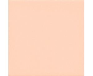 UNICOLOR SALMON BRILLO 20x20  