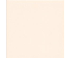 UNICOLOR BRIGHT BONE 20x20