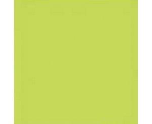 UNICOLOR PISTACHO BRILLO 20x20  
