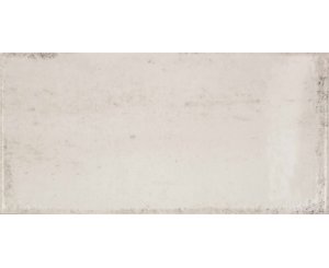 VITA BEIGE BRILLO 10x20