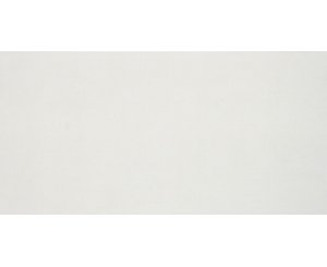 LUXURY WHITE POLISHED RECT. 59x119  