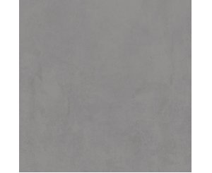 OMNIUM GRAY 60.5x60.5  