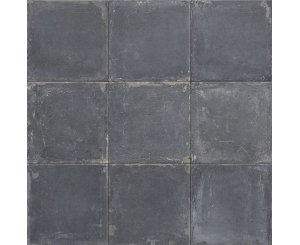 SCUDO AZURRO C2 20x20