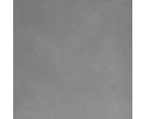 EVOLUTION NATURAL GRAY 60x60  