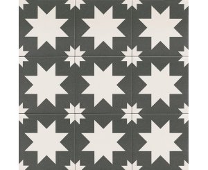 FIRED STAR BLACK C2 20x20  