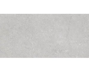 WARSAW XL GRAY LAPPATO PLUS RECT. 60x120  