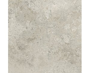 1821 GRAY POLISHED RECT. 98x98