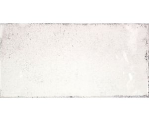 VITA BIANCO BRILLO 10x20