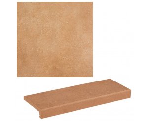VIERTEAGUAS VEGA OCHER 12x33x3