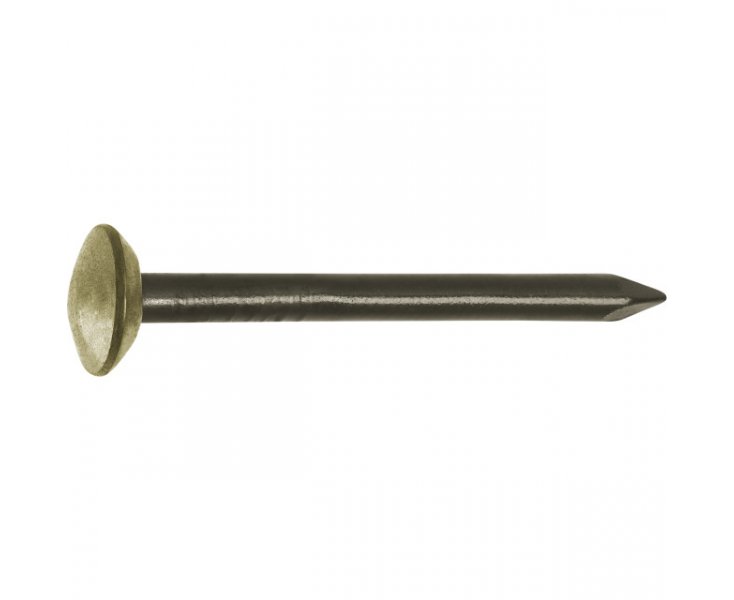 STEEL NAILS 2.0x30MM BRASS BLISTER 30UD