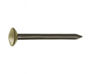 STEEL NAILS 2.0x30MM BRASS BLISTER 30UD