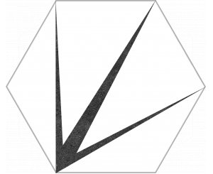 WHITE TRIDENT HEX25 22x25