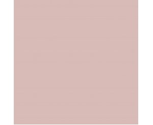 BASIC ROSE 25x25