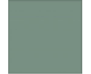 BASIC KALE 25x25