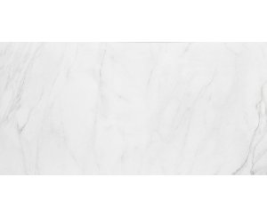EVOQUE MATT WHITE RECT. 60x120