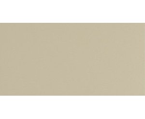 INDUSTRIAL PEARL NATURAL 11.7x24x1.2